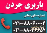 barbari-jordan