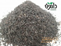 چای دامون لاهیجان 